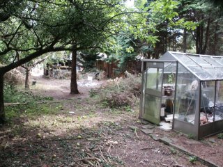 Garden 2