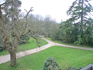 The Grounds