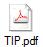 TIP.pdf