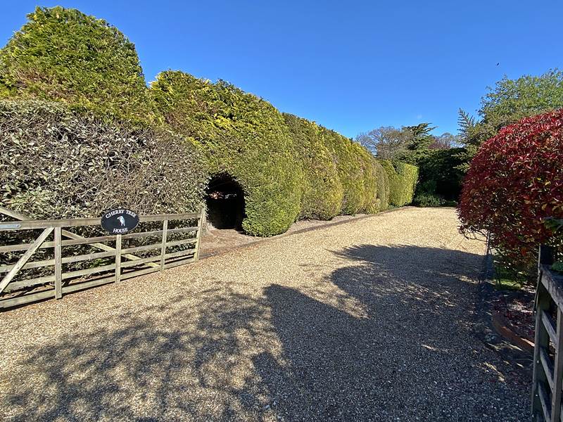 Driveway