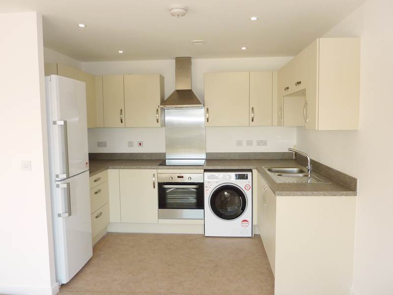 Modern Open Plan Kitchen