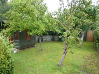 Orchard