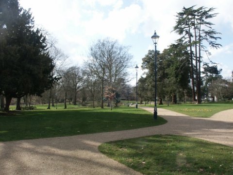 Park Web