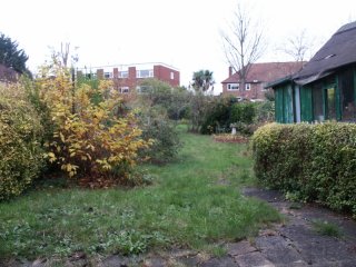 Garden 2