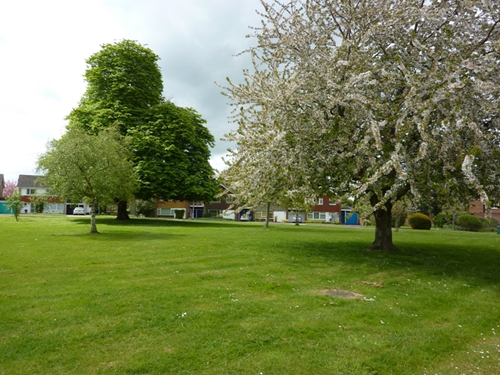 The Green in Front