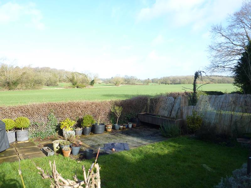 View Open Farmland