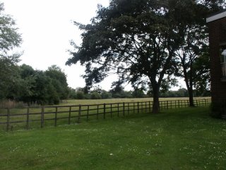 Fields