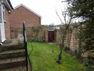 Side Garden