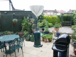 Garden 2