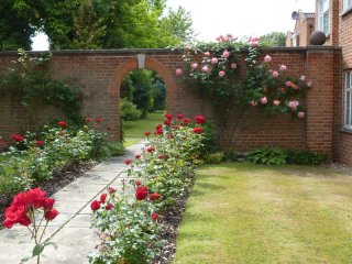 The Grounds