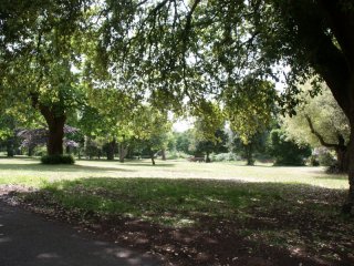 Park 2
