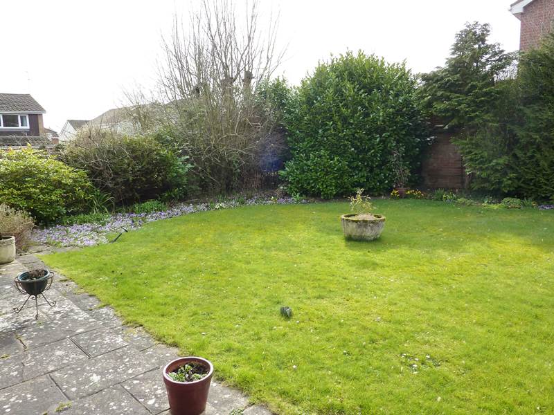 Garden 1