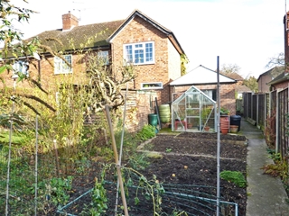 Kitchen Garden