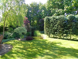 Rear Garden 2