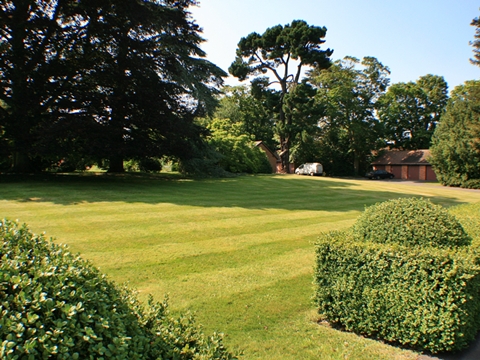 The Grounds