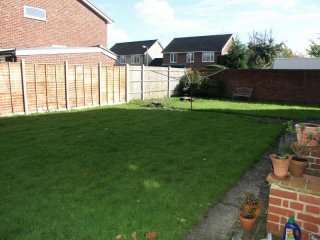 Communal Garden