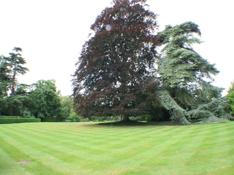 The Grounds