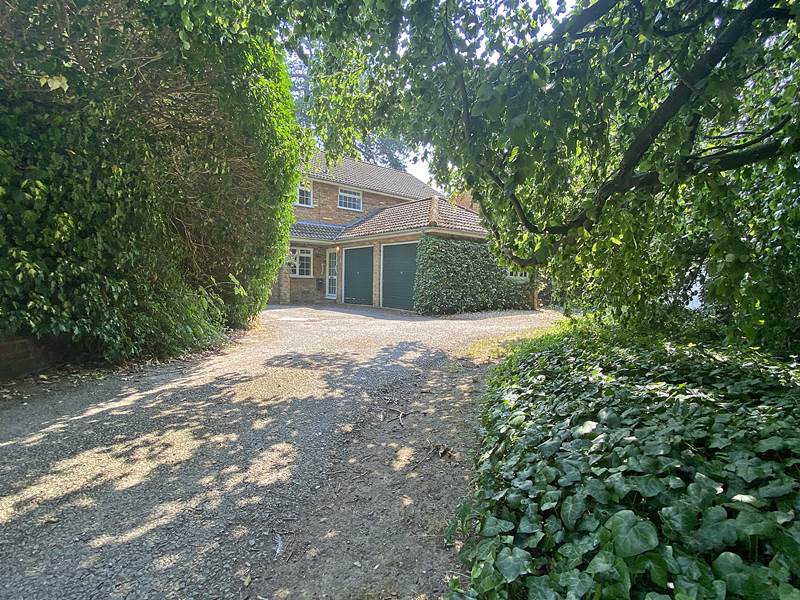 Driveway