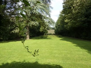Grounds