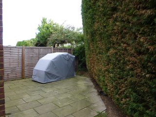 Patio Area