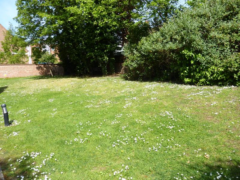 Communal Garden