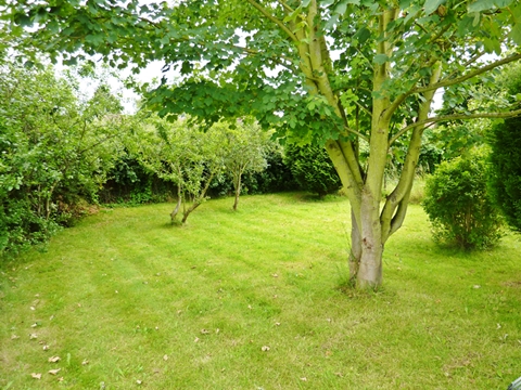 Extra Land