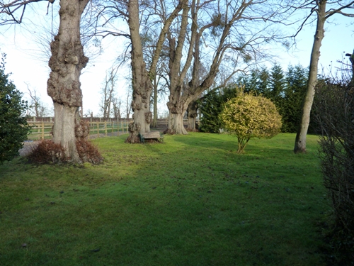 Grounds