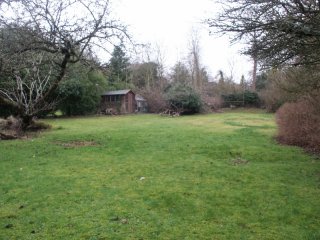 Garden 2