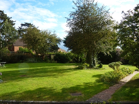 Communal Garden