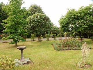 Garden 1