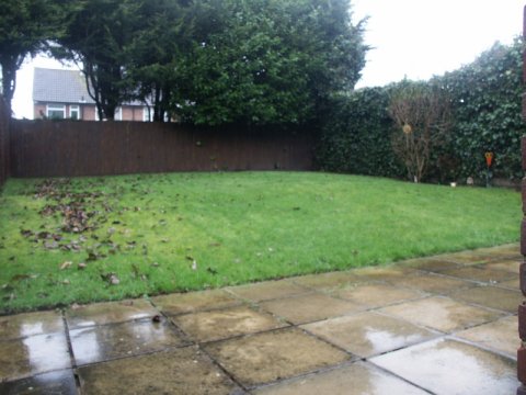 Rear garden