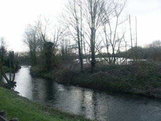 View From Communal Garden
