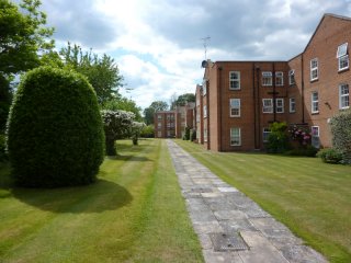 The Grounds 2