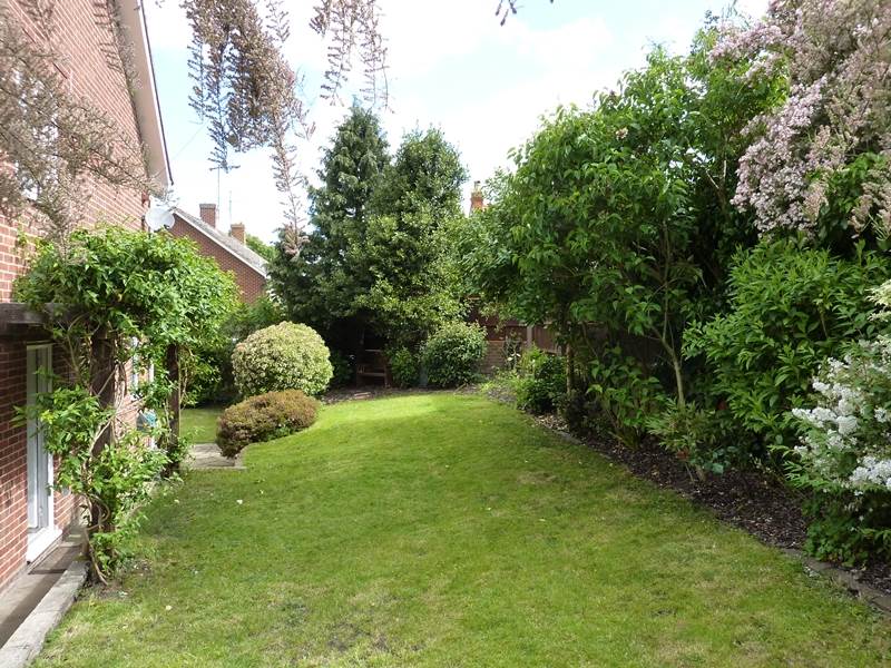 Side Garden
