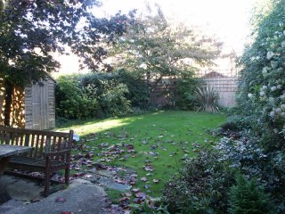 View of Garden