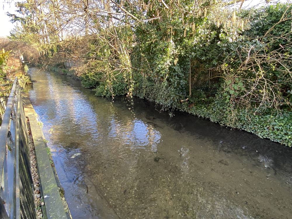 Adjoining River