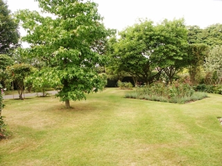 Garden 2