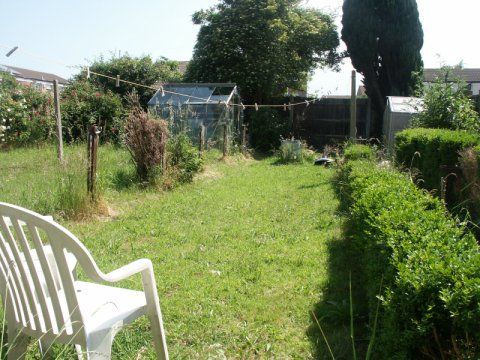 Rear garden