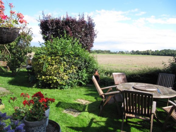Garden and view