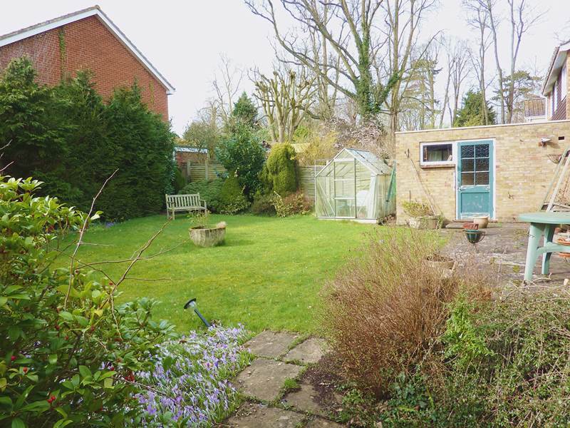 Garden 2