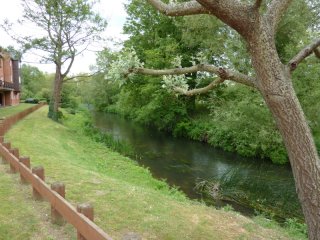 Weir