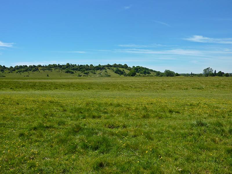 Rear view from property