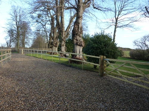 Driveway