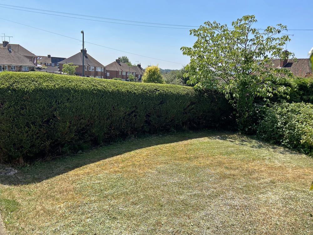 Front garden