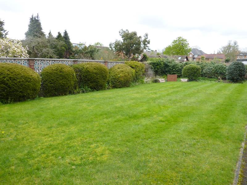 Communal Garden