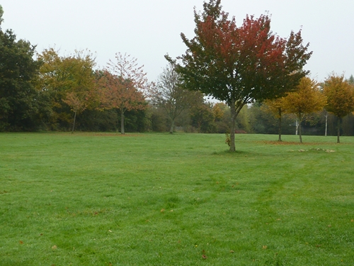 The Green